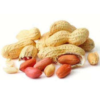 Raw Peanut - GLOBAL AGRICOL LTD - Kenya